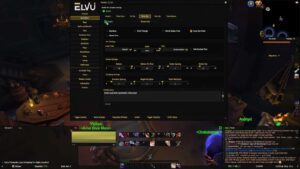Process of how to use elvui